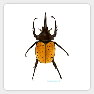 Bombardier Beetle Sticker